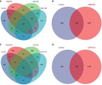 Effects of Coated Sodium Butyrate and Polysaccharides From Cordyceps cicadae on Intestinal Tissue Morphology and Ileal Microbiome of Squabs